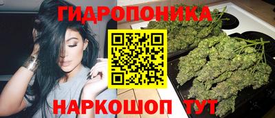 сатива Кинель
