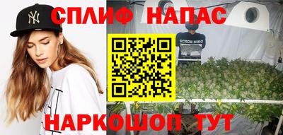 мет Кингисепп