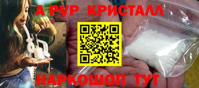 мет Кингисепп