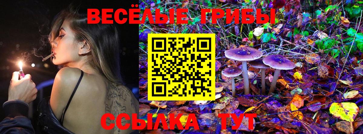 Псилоцибиновые грибы мицелий  Вход с VPN  Псилоцибиновые грибы GOLDEN TEACHER  Карталы 